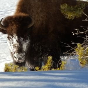 Meet your Posher, Julie ann